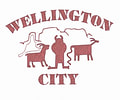 WELLINGTON CITY